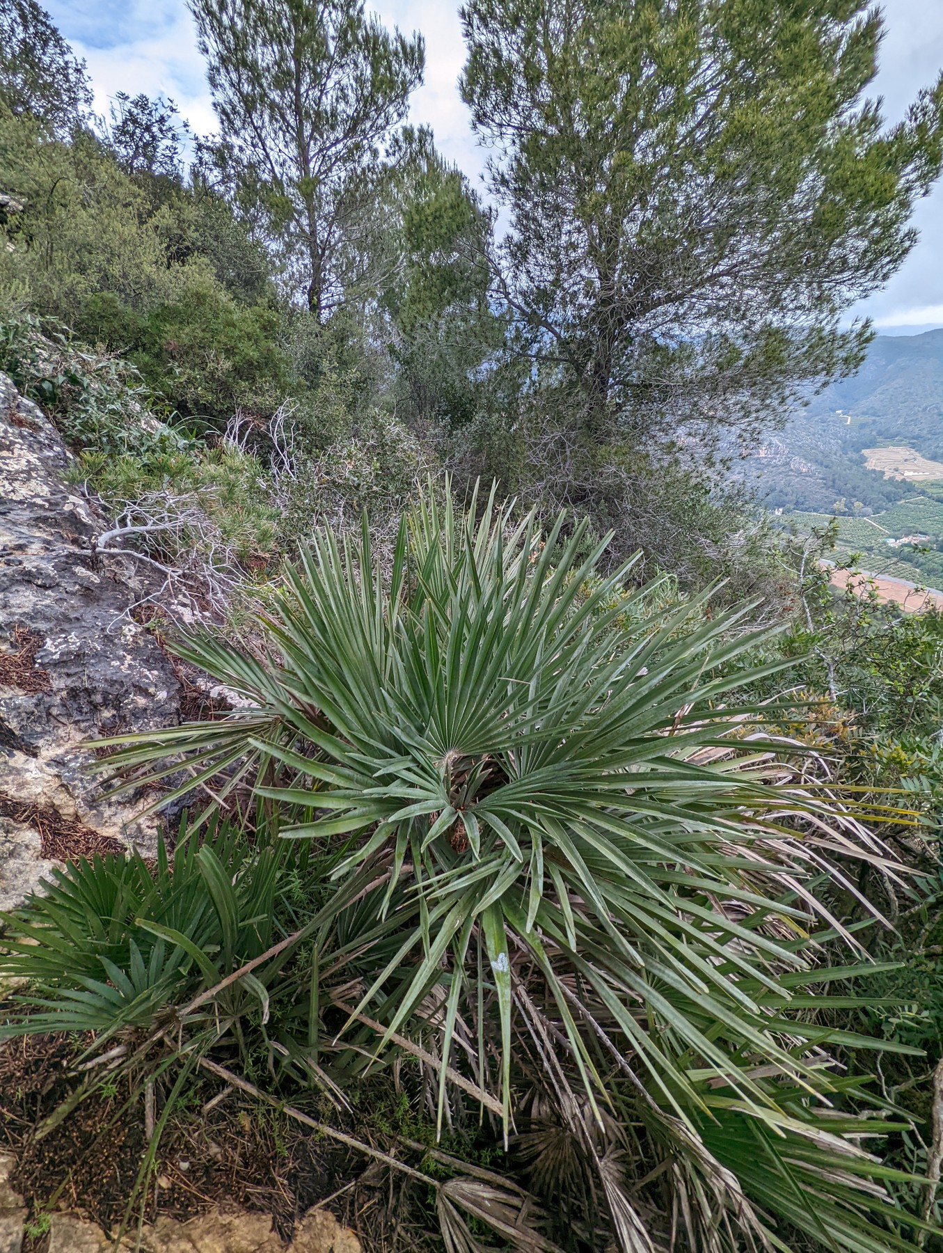 Local hiking Marxuquera
